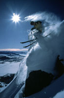 Jackson Hole Skiing